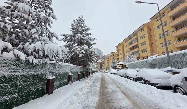 Gümüşhane'de kar 247 köy yolunu ulaşıma kapattı