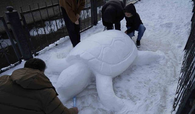 Gümüşhane'de 'kardan kaplumbağa' ilgi odağı oldu