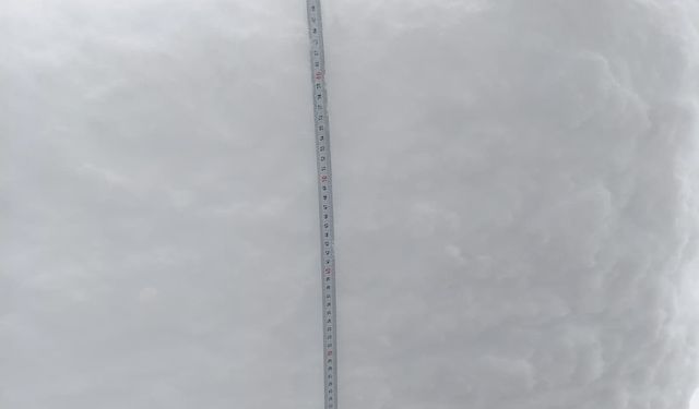 Gümüşhane'de yoğun kar yağışı sonrası yayınladığı videoyla yardım istedi