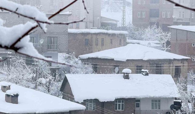 Hakkari'de 160 yerleşim yolu ulaşıma kapandı