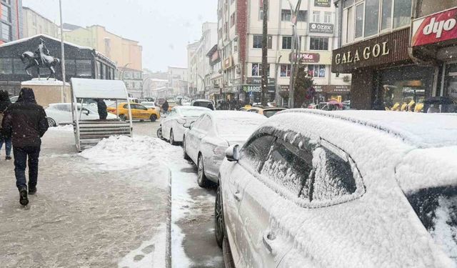Hakkari'de kar yağışı