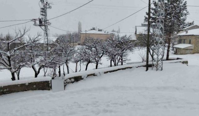 'Her şey devletten beklenmez' diyerek köy yollarını kendi imkanlarıyla temizlediler