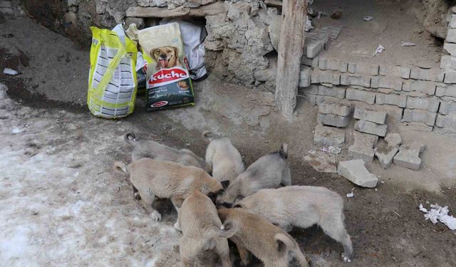 İstanbul'dan Erzurum'a uzanan yardım eli