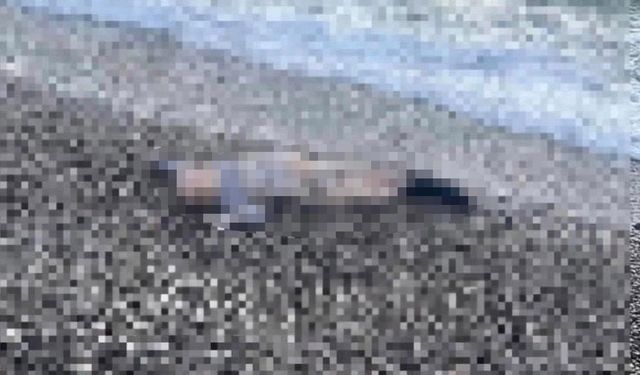İzmir'de deniz kıyısında çocuk cesedi