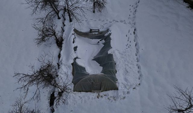 Kar birikintisine dayanamayan seralar çöktü