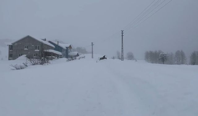 Karın tadını çıkarmak için İstanbul'dan Sivas'a akın ettiler