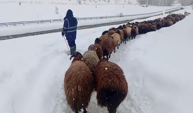 Karlıova'da besicilerin zorlu kış mesaisi