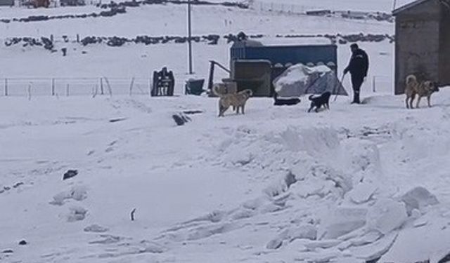 Kars'ın soğuğunda enerji mesaisi: Aras Edaş ekiplerinin soğukla imtihanı