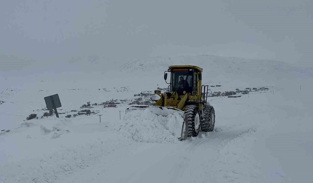 Kars'ta kar kaplanlarının 2 bin 100 rakımda zorlu mesaisi