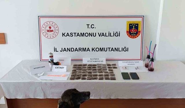 Kastamonu'da uyuşturucu operasyonu: 1 tutuklama