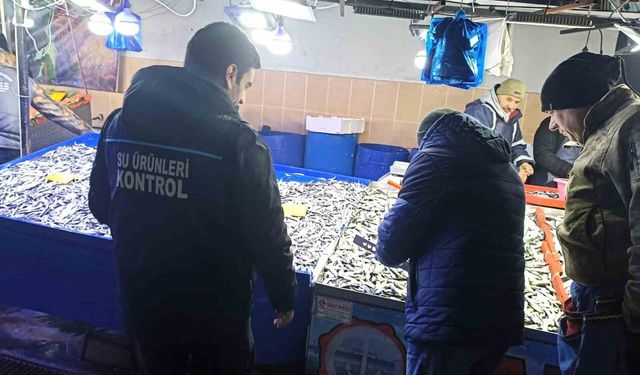 Kırklareli'nde su ürünleri denetimleri