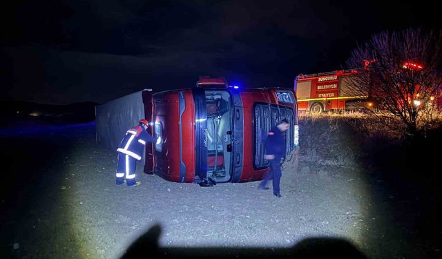 Köpeğe çarpmamak için manevra yaptı, tır şarampole devrildi: 1 yaralı