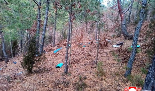 Kuzey Kore, Güney Kore'ye ait casus dronu düşürdü: 'Ağır bir bedel ödeyecekler'