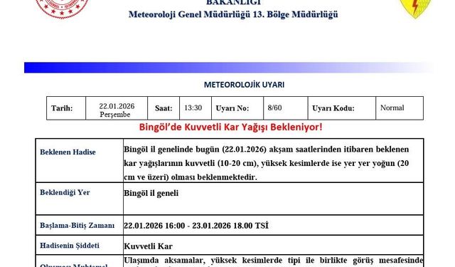 Meteorolojiden Bingöl için kuvvetli kar yağışı uyarısı