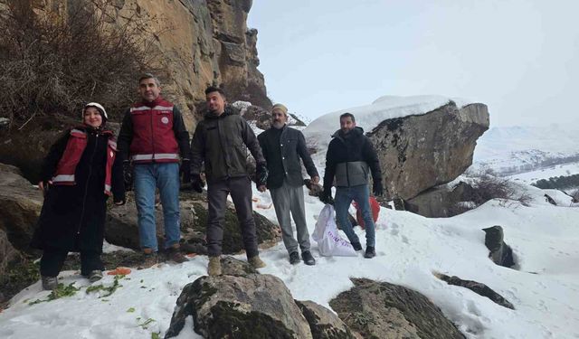 Muradiye'de yaban hayvanları için doğaya yem bırakıldı