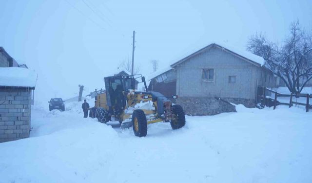 Muş'ta ekipler seferber oldu: 7 bin kilometre yol açıldı