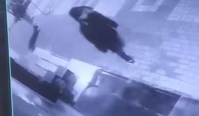 Otomobillerin aynalarını kırıp camlarını yumrukladılar, hiçbir şey olmamış gibi gittiler