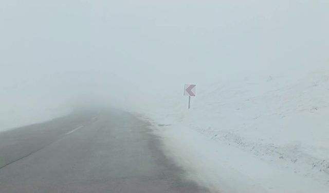 Palandöken geçidinde sis sürücülere zor anlar yaşatıyor