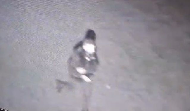 Polis kılığına girip 3 milyonluk vurgun yaptılar