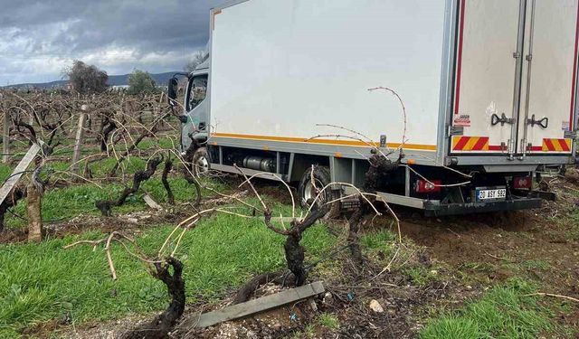 Sabıkalı yolda kamyon üzüm bağına girdi