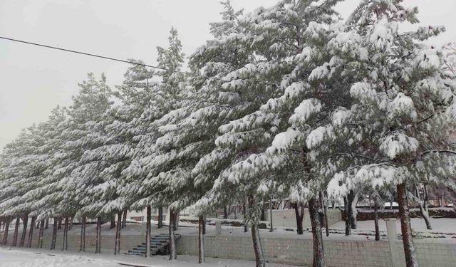 Sason'da yoğun kar yağışı hayatı olumsuz etkiliyor
