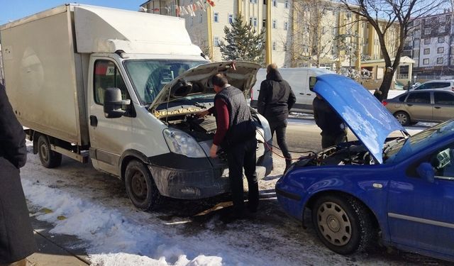 Sibirya soğuklarının etkili olduğu Ardahan'da