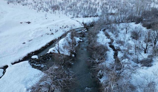 Şırnak'ta dereler buz tuttu