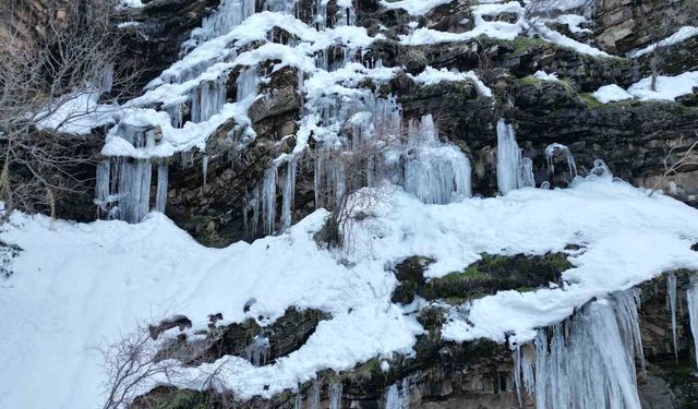 Şırnak'ta etkili olan karla 'Kanlıdere' beyaza büründü