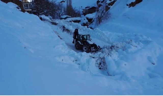 Şırnak'ta karla mücadele çalışmaları aralıksız sürüyor