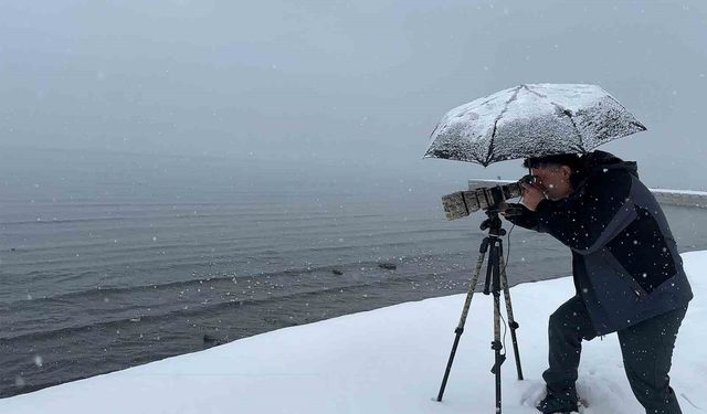 Tatvan'a kış ortasında kuş akını