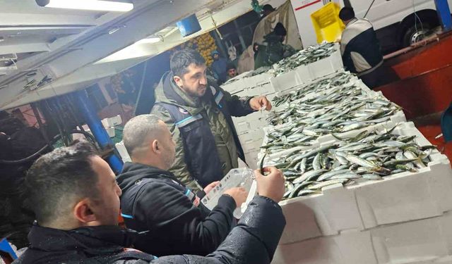 Tekirdağ'da gırgır teknelerinde su ürünleri denetimleri