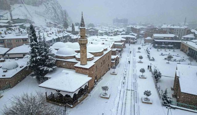 Tokat'ta masalsı kış manzarası