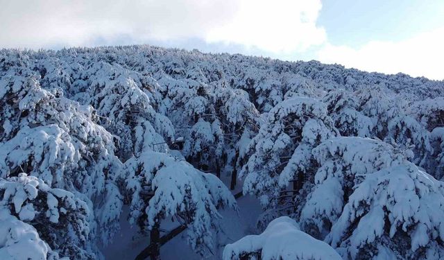 Türkiye'nin ilk Milli Parkı Çamlık'ta kar manzarası havadan görüntülendi
