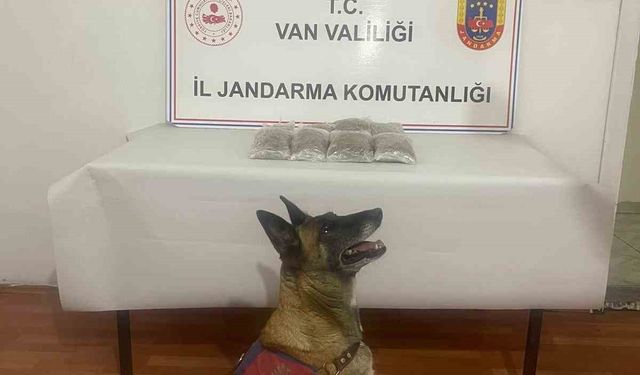 Van'da uyuşturucu madde ele geçirildi