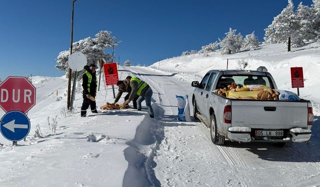 Yaban hayvanları için ormana yem bıraktılar