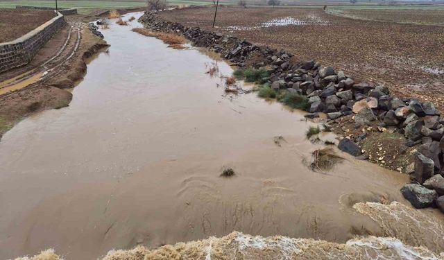 Yavuzeli'nde yağış etkili oldu, Karasu Çayı'nın debisi yükseldi