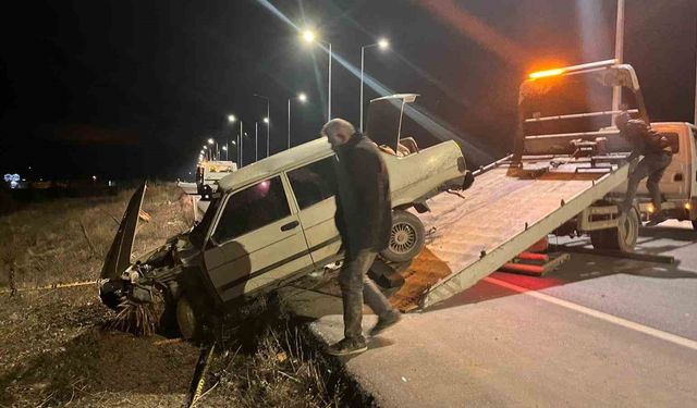 Yola fırlayan domuza çarpan otomobil sürücüsü hayatını kaybetti