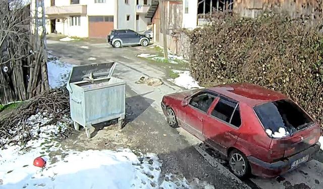 Yolda yatan köpeği ezip, yoluna devam etti