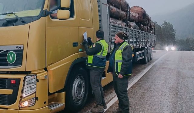 Yüklü araçlar tek tek kontrol edildi