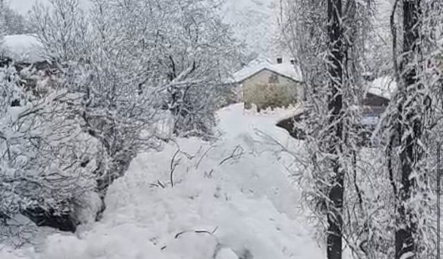 Yüksekova'da çığ yerleşim yerine indi: Facianın eşiğinden dönüldü