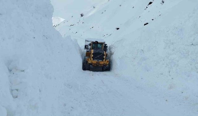 Yüksekova'da mezra yoluna düşen çığ temizlendi