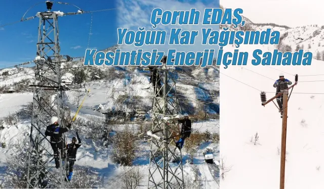 Çoruh EDAŞ, Yoğun Kar Yağışında Kesintisiz Enerji İçin Sahada