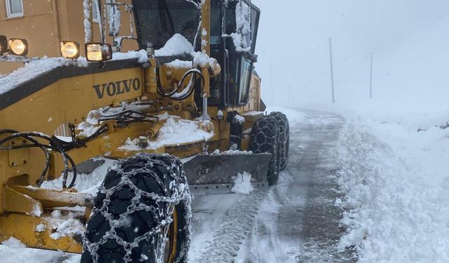 Rize’de bir ilçede daha kar tatili