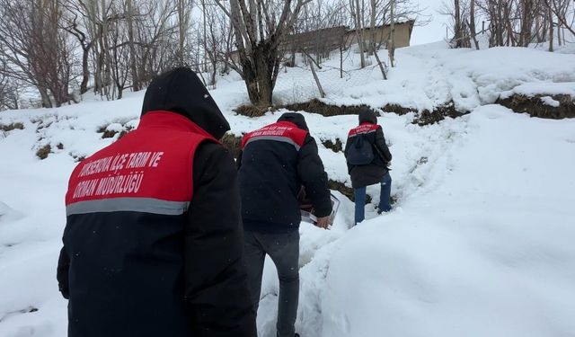 2 bin rakımda gıda seferberliği: Karlı yolları aşarak çocuklara bilgi taşıdılar