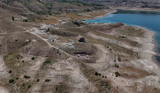 7,7 milyon yıllık tarihe ışık tutan Taşhan'da daha sonraki dönemlerde yaşayan türlerin fosilleri bulundu