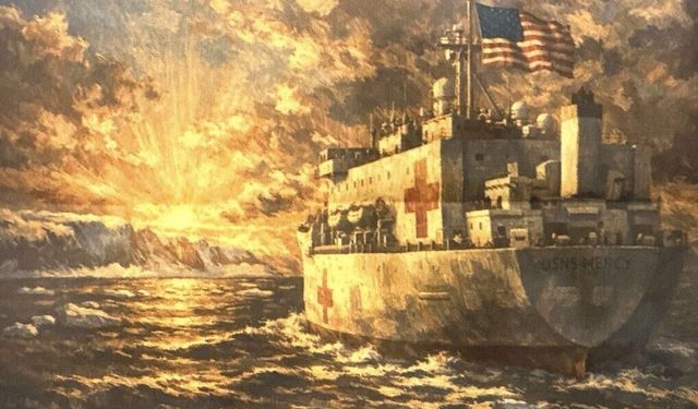 ABD'den Grönland'a hastane gemisi