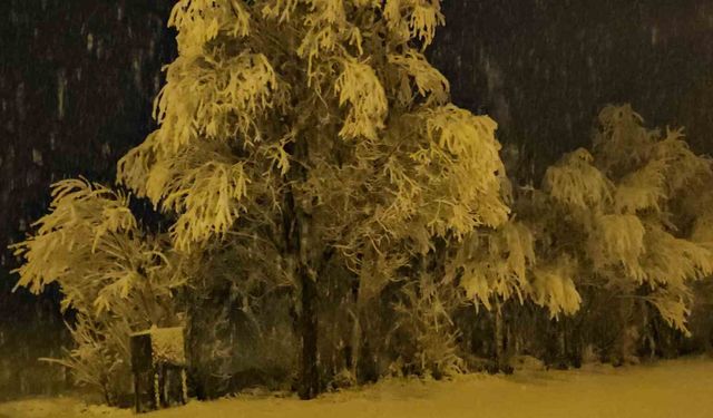 Adilcevaz'da kar yağışı beraberinde güzel görüntüler getirdi