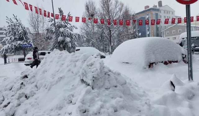 Ardahan'da 132 köy yolu ulaşıma kapandı