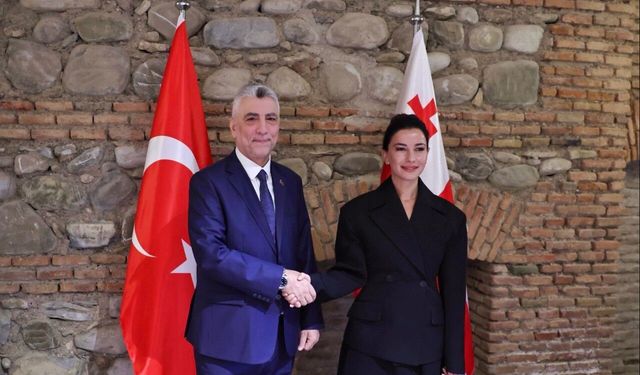 Bakan Bolat, Gürcistanlı mevkidaşı ile görüştü