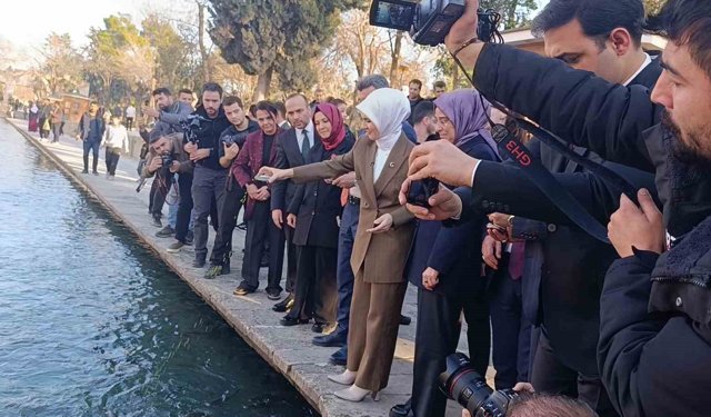 Bakan Göktaş Balıklıgöl'ü gezdi